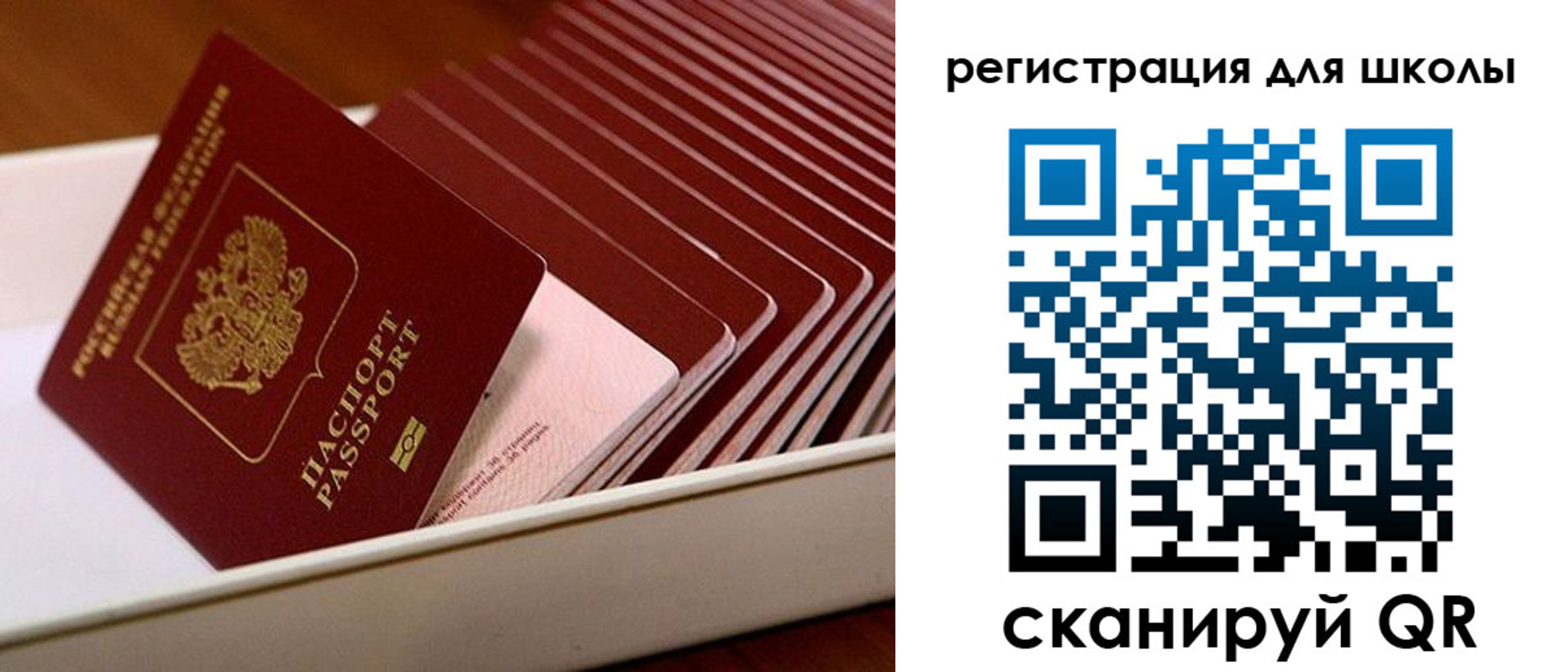 прописка гарантия в Туймазы
